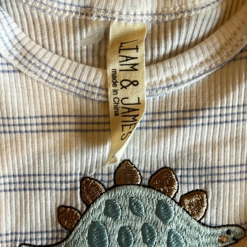Liam & James Baby Boy Long Sleeve Onesie Dinosaur Stripe Embroidered 0-3 Month